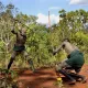 ETIOPIA